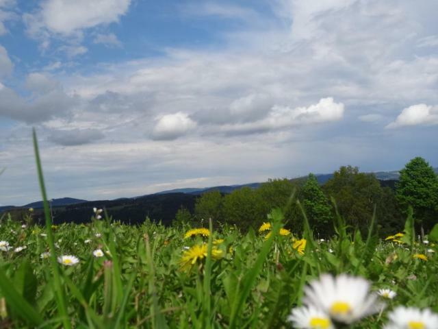 Desl'S Little Farm Lägenhet Waldburg Exteriör bild